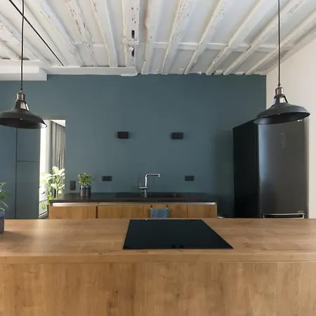 Appartement Loft En Plein Coeur De