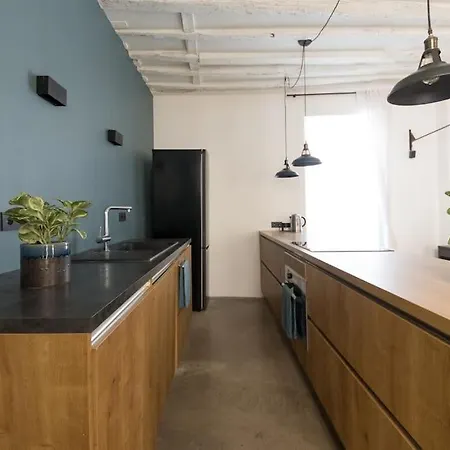 Appartement Loft En Plein Coeur De